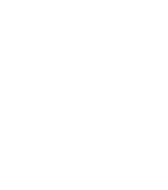 Bueno Neto